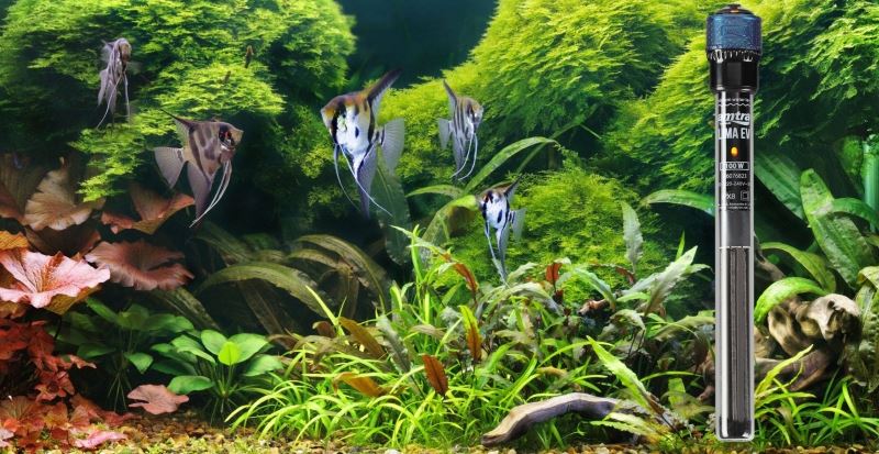 Chauffe-aquarium